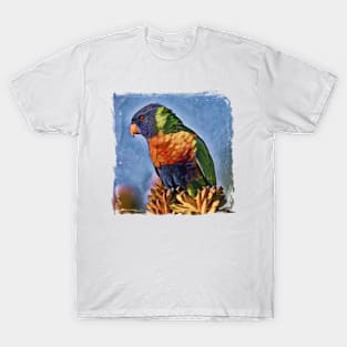 Rainbow Lorikeet Australian Bird T-Shirt